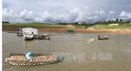 Kon Tum giải thích việc cá chết bất thường ở hồ thủy điện Pleikrông